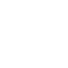 INS